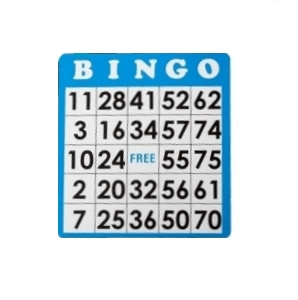 1 Bingo card Main Image